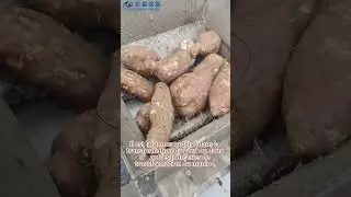 Quelle machine est utilisée pour broyer le manioc ?-grater #processing #machine