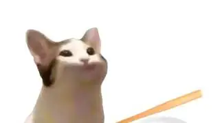 pop cat edit