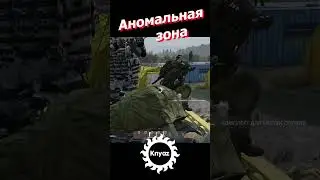 Dayz Аномалия Мирный день Z 