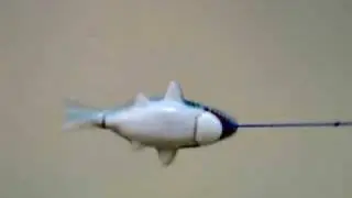 Shark Toy Paris 2008