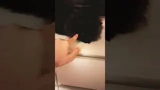 котик вернулся урааааа мой пупсик #kiyazakiya #shorts