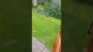 29 июля Ярославская область опять ливень.