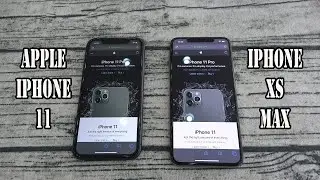 iPhone XS MAX VS iPhone 11 Night Mode Photography