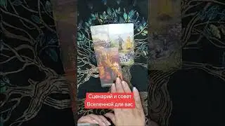 #тарологонлайн #таро ##любовь #таролог #королевамечей
