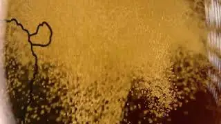 Бокалы