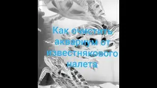 Чистка аквариума от известкового налета