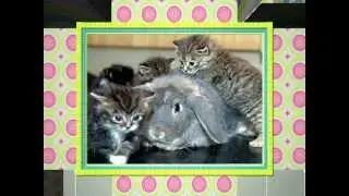 Happy Easter!  Kitties Greet the Easter Bunny