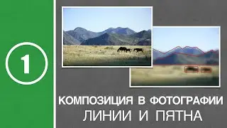 Урок #1. Композиция в фотографии. Линии и пятна