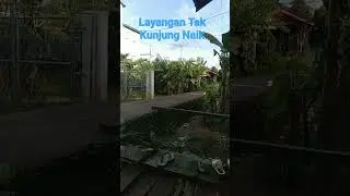 Sedih
