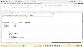 Chapter 8 Problem 11 CFIN7