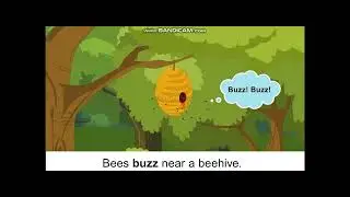 Class 6 - English Grammar - Onomatopoeic Words
