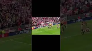 Невероятный сейв Дэвида Симэна / Incredible save by David Seaman