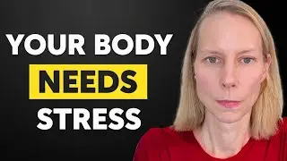 How to Channel Stress into Productivity For Peak Performance