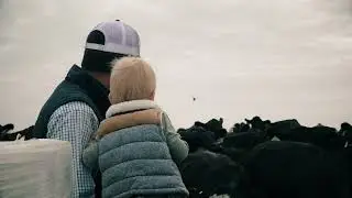 GENEX Ciencia y Bienestar de las Vacas