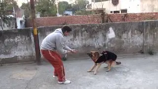 Amit ji and Mischief 2012