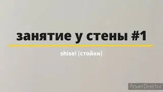 домашние занятия дзюдо  shisei - стойки (у стены #1)