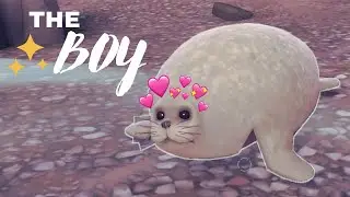 here comes the boy