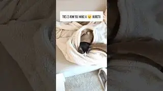This is how you make a 😺 burrito