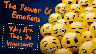 The Power of Emotions: Why Are They So Important?