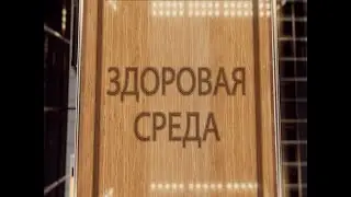 ЗДОРОВАЯ СРЕДА МИНЕРАЛОВОДСКИЙ РОДДОМ