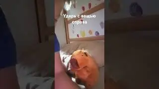 10 сентября 2024 г.
