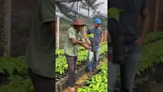 RENOVAÇÃO DE ÁREA