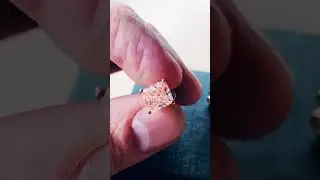 Пуссеты на заказ
