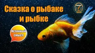 Современная сказка о рыбаке и рыбке или как не быть под каблуком