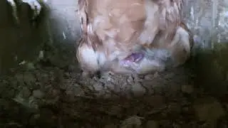 ल एक छिन