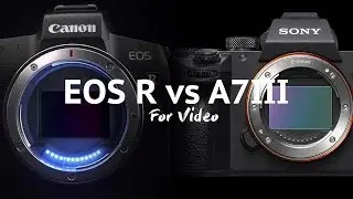 Canon EOS R vs Sony A7iii for Video