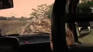 брат и сестра..