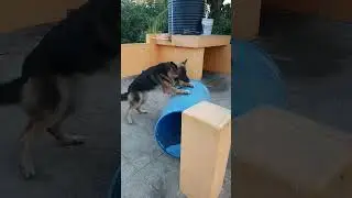 Debbie playing