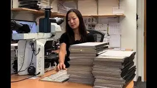 A million slides (A million dreams pathology parody)
