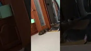 Может ты на свете лучше всех, только это сразу не поймёшь....
