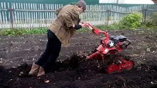 Копаем картошку 20180922