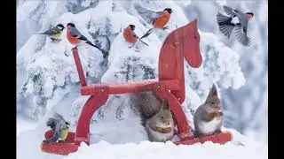 ЗИМНЯЯ СКАЗКА