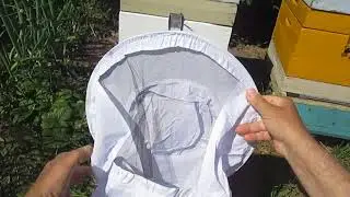 Beekeeper's hat