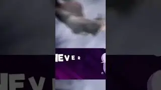 Never Back Down
