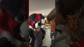 Furry POOL TOY!?!? 