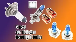 5 Best Car Halogen Headlight Bulbs