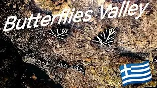 Butterflies Valley Rhodos 2024