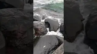 Beautiful Ocean Copenhagen Denmark  | Beautiful music come from Ocean ￼