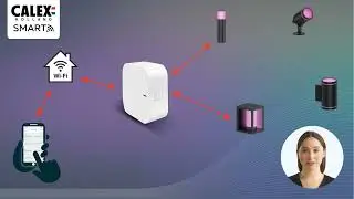 Calex Smart Bluetooth Mesh [NL]