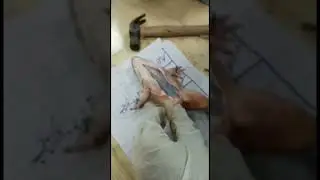 Removing Frog's Dorsal Skin | Frog Dissection