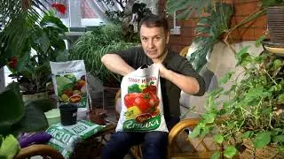 Елена Проклова в программе 
