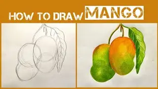 How to Draw Mango Step By Step | Mango Drawing | Fruit Drawing