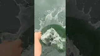 HOW To Catch The BIGGEST Catfish In The World!! 
