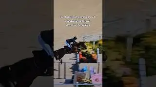 #лошади