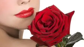 НЕ НОВАЯ, НО ТАКАЯ КРАСИВАЯ ПЕСНЯ! - РОЗА - ИСП. АРВИД