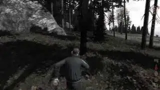 Бесславные убийцы и ребята на вертушке DayZ Origins
